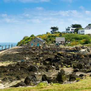 La Manche au naturel