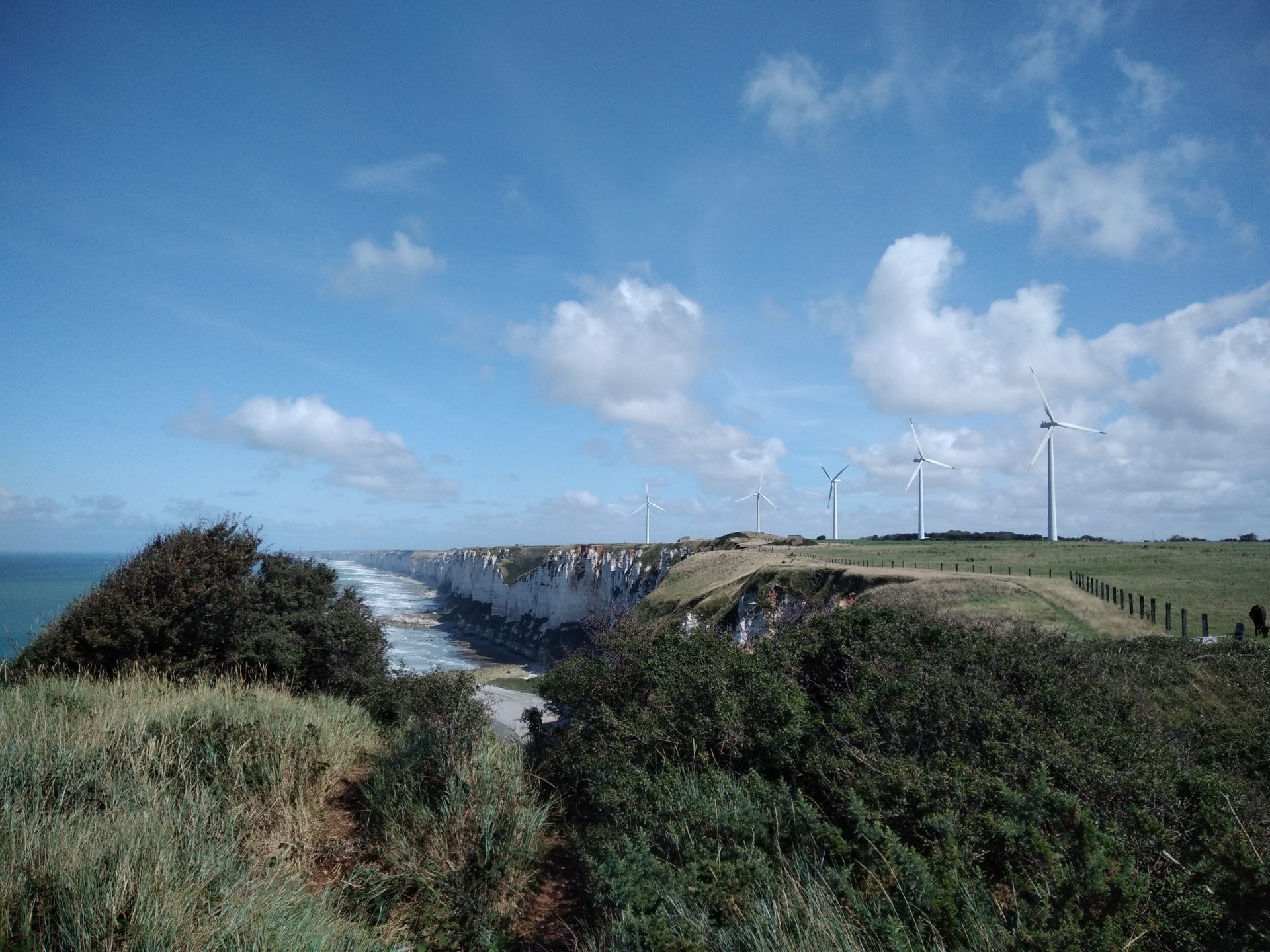 Ecotourisme et littoral