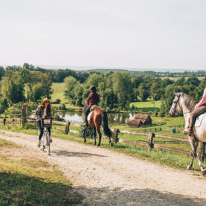 Séjour-adulte - France - Orne - Haras-du-Pin