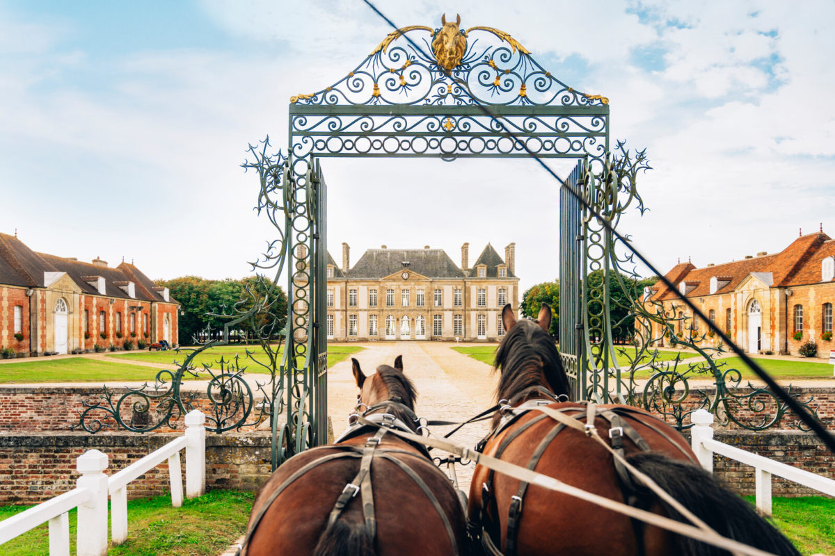 Séjour-adulte - France - Orne - Haras-du-Pin