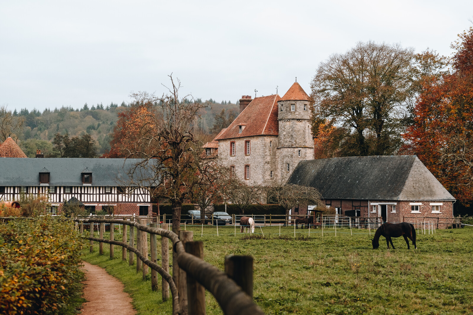Cheval & Confiance : Une expérience de remise en confiance pour les séniors